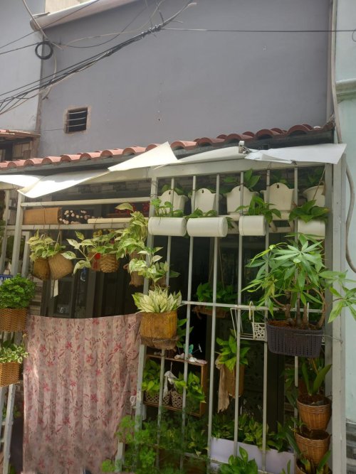 Nhà Thống Nhất P15, 21m2, 3x7m GV