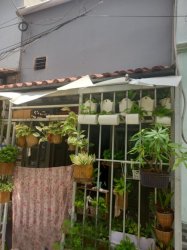 Nhà Thống Nhất P15, 21m2, 3x7m GV