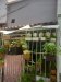 Nhà Thống Nhất P15, 21m2, 3x7m GV