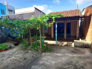Nhà vườn Đ.6m 154m2, Nở hậu  Tô Ký HM