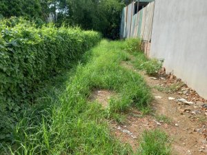 Đất Bùi Công Trùng Q12, 154m2, 4.5x35m, Đ.4m