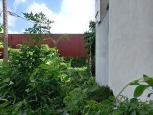 Đất Quốc Lộ 1A Q12, 80m2, 4x20m
