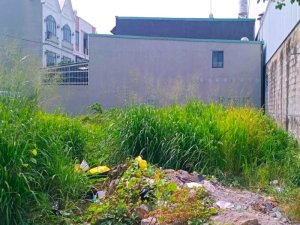 Đất An Phú Đông 3 Q12, 164m2, 8x21m