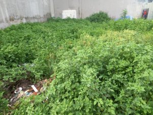 Đất MT 100m2, Đ.5m  Thạnh Lộc 27 Q12