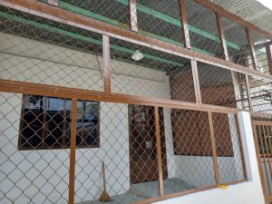 Nhà vuông Thạnh Xuân 47 Q12, 75m2, 5x15m