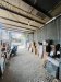 Nhà Thạnh Lộc 48 Q12, 95m2, 5x19m