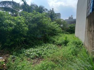 Đất nở hậu An Phú Đông 9 Q12, 511.5m2, 8.6x42m
