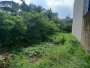Đất nở hậu An Phú Đông 9 Q12, 511.5m2, 8.6x42m