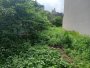 Đất nở hậu An Phú Đông 9 Q12, 511.5m2, 8.6x42m