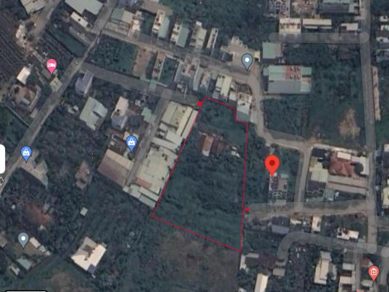 Đất 4325m2, Nở hậu, Đ.6m  Vườn Lài Q12