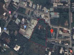 Đất 4325m2, Nở hậu, Đ.6m  Vườn Lài Q12