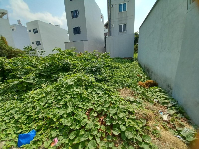 Đất vuông 81m2  Vườn Lài Q12