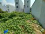 Đất vuông 81m2  Vườn Lài Q12