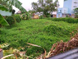 Cho thuê đất 2MH Vuông Vườn Lài Q12, 440m2, 14x32m giá 15tr