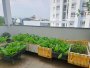Giảm 100tr Nhà Vuông 3 tầng nở hậu Vườn Lài Q12, 81m2, 4x23m
