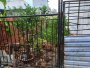 Đất nở hậu Nguyễn Thị Búp Q12, 72m2, 4x18m chỉ 3.x tỷ