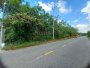 Giảm 21 tỷ Đất MT nở hậu An Nhơn Tây CC, 1.26Ha, 63x220m