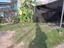 Giảm 50tr! Đất 100m2, Nở hậu, Lô góc, Đ.4m  Thạnh Xuân 24 Q12