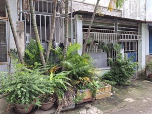 Nhà C4 Vuông 54m2, Đ.4m  Vườn Lài Q12