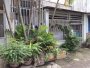 Nhà C4 Vuông 54m2, Đ.4m  Vườn Lài Q12