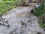 Giảm 170tr! Đất vuông 60m2, Đ.3m  Hiệp Thành 17 Q12