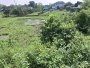 Giảm 400tr Đất view kênh Đường 566 Củ Chi, 1894m2, 56x50m