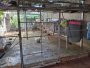 Giảm 600tr! Đất vuông 105m2, Đ.4m  Nam Lân 5 HM