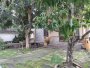 Nhà vườn MT 988m2, Nở hậu, Đ.10m  Dương Công Khi HM