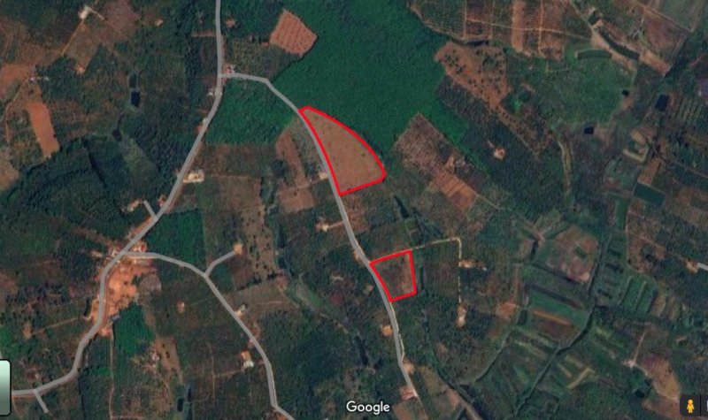 20 lô Đất 1315m2, Đ.6m  Đắk Wer Đắk Nông