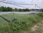 Rẻ! Đất 2.9tr/m2 0.5Ha  Xuân Thới Thượng 2 HM