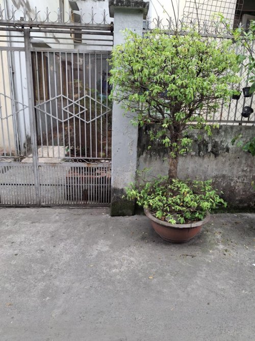Đất vuông 50m2, Đ.3.5m  Lê Đức Thọ GV