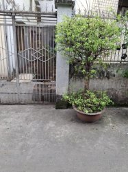 Đất vuông 50m2, Đ.3.5m  Lê Đức Thọ GV