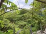 Giảm 4tỷ! Đất MT 995m2, Vuông, Đ.14m  Thạnh Xuân 52 Q12