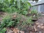Đất vuông 189m2, Đ.4m  Gò Dưa TĐ