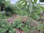 Đất vuông 189m2, Đ.4m  Gò Dưa TĐ