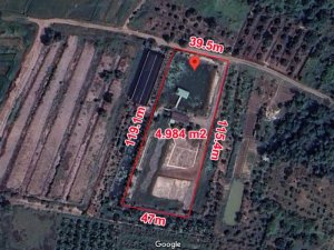 Quá rẻ Đất 0.5Ha, Nở hậu, Đ.4m  Trường Đông TN