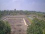 Quá rẻ Đất 0.5Ha, Nở hậu, Đ.4m  Trường Đông TN