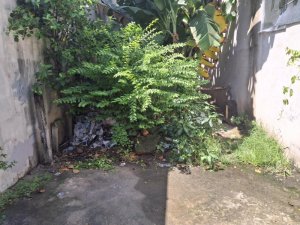 Đất vuông 76m2, Vuông, Đ.5m  Hà Huy Giáp  Q12