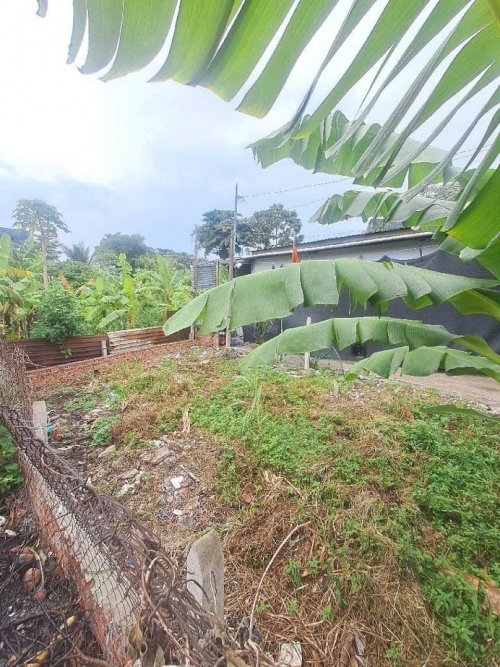 Đất 2 MH 137m2, tách thửa OK  An Phú Đông 9 Q12