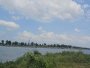 Đất NN view sông 954m2, Vuông  An Phú Đông 3 Q12