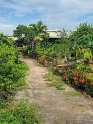 Đất Vườn HXT 722m2, Nở hậu  Xuân Thới Thượng 2 HM