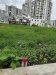 Đất HXT 56m2, Đ.7m, Vuông  Thạnh Xuân 14 Q12