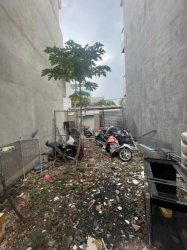 Rẻ! Đất Vuông 50m2  Trương Minh Ký Q12