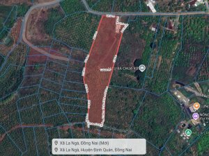 1.24Ha Đất sát KDL sinh thái hồ Trị An  Quốc Lộ 20 Đồng Nai