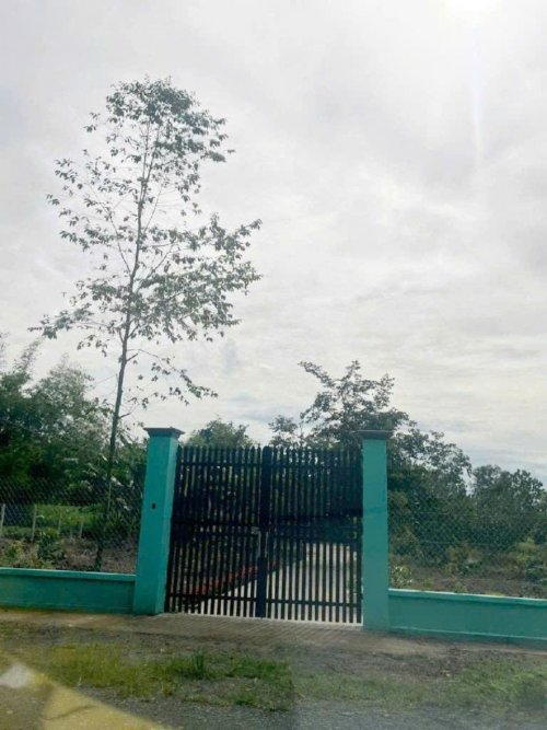 Đất Nở hậu Đường 8m thông 1851m2  Cây Gõ CC