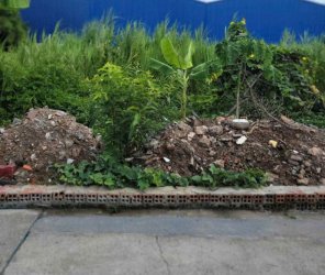 Đất vuông đẹp Hẻm xe tải 100m2  Thạnh Xuân 47 Q12