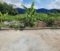Đất vuông đẹp Hẻm xe tải 100m2  Thạnh Xuân 47 Q12