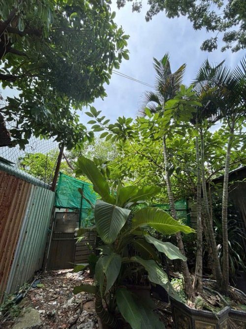 Đất Vuông đẹp HXH 110m2  Nguyễn Văn Quá Q12