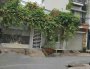 Nhà Vuông 2 tầng HXH tránh 64m2  Nguyễn Xí Bình Thạnh