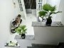 Nhà SHR Vuông 2 tầng 20m2  Quang Trung Gò Vấp